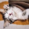 みっちゃんママ